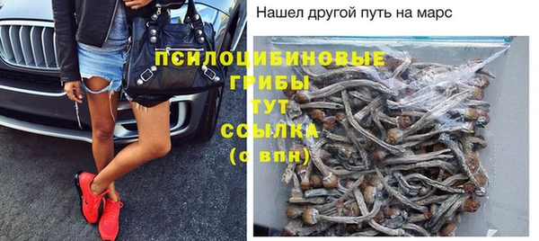 прущая мука Алзамай