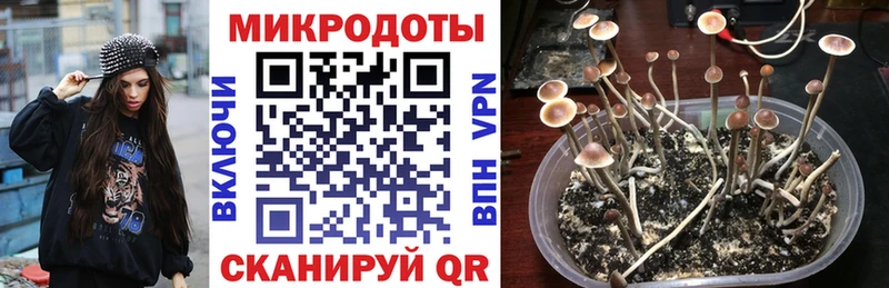 Псилоцибиновые грибы Magic Shrooms  Купить  Александров 